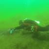 Picture taken during the dive