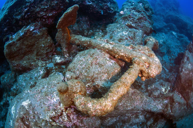Azores Sub-Merg. Prof. Lda - Dive Center in Portugal