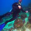 Picture taken during the dive