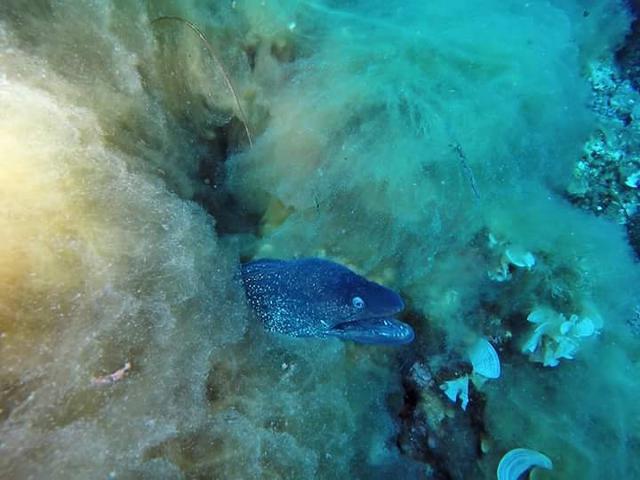 NAUTILUS TDC - Dive Center in Italy