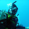 Picture taken during the dive