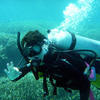 Picture taken during the dive