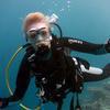 Picture taken during the dive