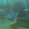 Picture taken during the dive