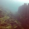 Picture taken during the dive