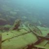Picture taken during the dive