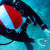 Picture taken during the dive