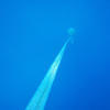 Picture taken during the dive