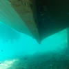 Picture taken during the dive
