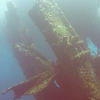 Picture taken during the dive