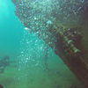 Picture taken during the dive