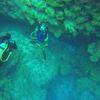 Picture taken during the dive