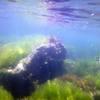Picture taken during the dive