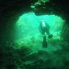 Picture taken during the dive