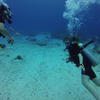 Picture taken during the dive