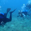 Picture taken during the dive