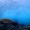Picture taken during the dive