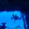 Picture taken during the dive