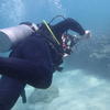 Picture taken during the dive