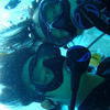 Picture taken during the dive
