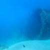 Picture taken during the dive