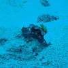 Picture taken during the dive