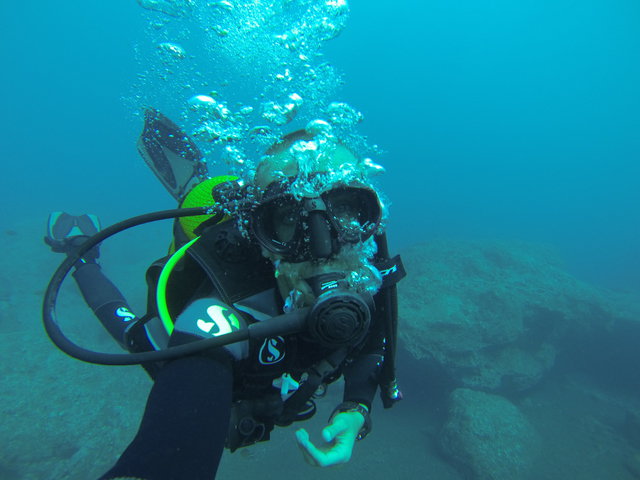 Mero Diving Center - Dive Center in Portugal