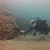Picture taken during the dive