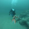 Picture taken during the dive