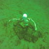 Picture taken during the dive