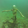 Picture taken during the dive