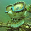 Picture taken during the dive