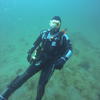 Picture taken during the dive