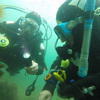 Picture taken during the dive