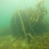 Picture taken during the dive