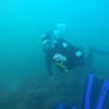 Picture taken during the dive