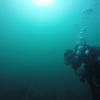 Picture taken during the dive