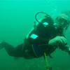 Picture taken during the dive