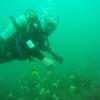 Picture taken during the dive