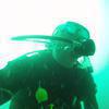 Picture taken during the dive