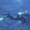 Picture taken during the dive
