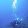 Picture taken during the dive
