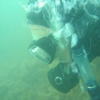 Picture taken during the dive