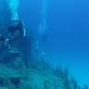 Picture taken during the dive