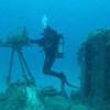 Picture taken during the dive