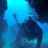 Picture taken during the dive