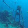 Picture taken during the dive