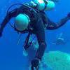 Picture taken during the dive