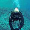 Picture taken during the dive