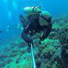 Picture taken during the dive
